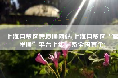 上海自贸区跨境通网站(上海自贸区“离岸通”平台上线，系全国首个)