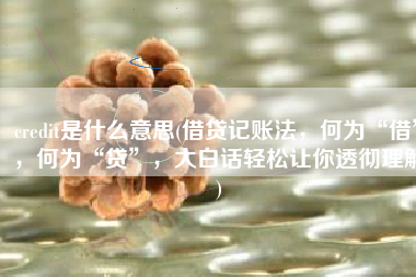 credit是什么意思(借贷记账法，何为“借”，何为“贷”，大白话轻松让你透彻理解)