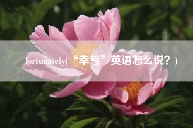 fortunately(“幸亏”英语怎么说？)