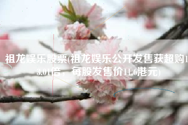 祖龙娱乐股票(祖龙娱乐公开发售获超购123.01倍，每股发售价11.6港元)