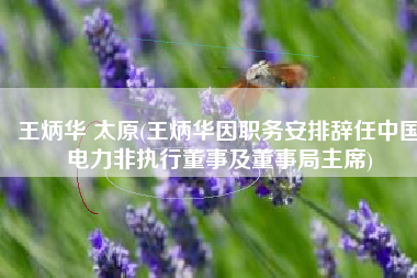 王炳华 太原(王炳华因职务安排辞任中国电力非执行董事及董事局主席)