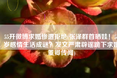 55开微博求婚惨遭拒绝(张泽群首晒娃！55岁感情生活成谜？发文严肃辟谣跪下求婚董卿传闻)