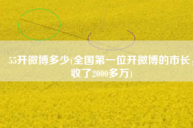 55开微博多少(全国第一位开微博的市长，收了2000多万)