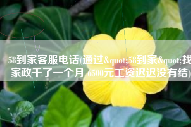 58到家客服电话(通过"58到家"找家政干了一个月 6500元工资迟迟没有结)