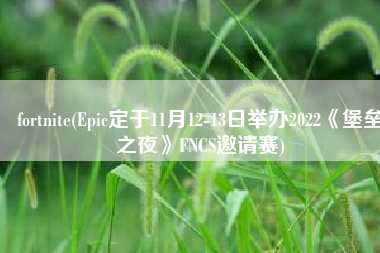 fortnite(Epic定于11月12-13日举办2022《堡垒之夜》FNCS邀请赛)