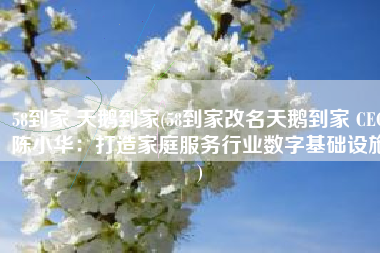 58到家 天鹅到家(58到家改名天鹅到家 CEO陈小华：打造家庭服务行业数字基础设施)