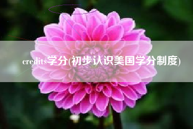 credits学分(初步认识美国学分制度)