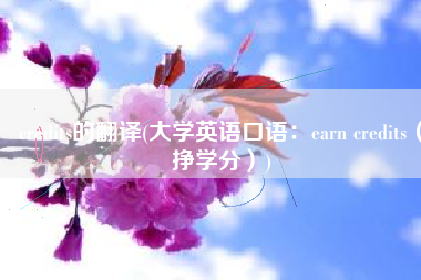 credits的翻译(大学英语口语：earn credits（挣学分）)