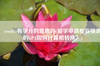 credits有学分的意思吗(留学申请都在强调的GPA如何计算和转换？)