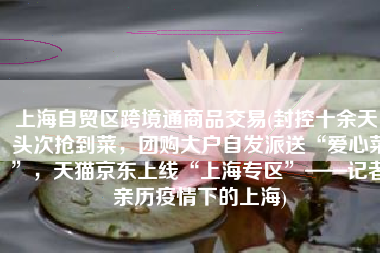 上海自贸区跨境通商品交易(封控十余天，头次抢到菜，团购大户自发派送“爱心菜”，天猫京东上线“上海专区”——记者亲历疫情下的上海)