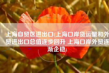 上海自贸区进出口(上海口岸货运量和外贸进出口总值逐步回升 上海口岸外贸逐渐企稳)