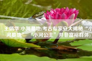 王炳华 小河墓地(考古专家安大揭秘“小河墓地” “小河公主”并非富裕群体)