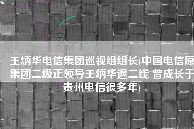 王炳华电信集团巡视组组长(中国电信原集团二级正领导王炳华退二线 曾成长于贵州电信很多年)