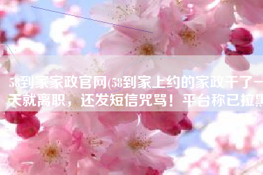 58到家家政官网(58到家上约的家政干了一天就离职，还发短信咒骂！平台称已拉黑)