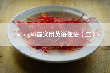 fortnight(最实用英语俚语（三）)