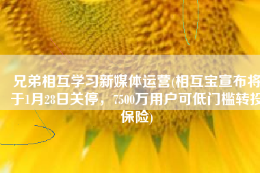 兄弟相互学习新媒体运营(相互宝宣布将于1月28日关停，7500万用户可低门槛转投保险)