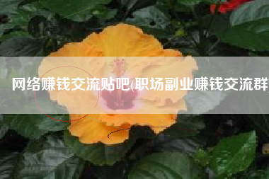 网络赚钱交流贴吧(职场副业赚钱交流群)