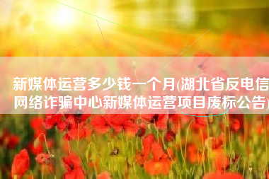 新媒体运营多少钱一个月(湖北省反电信网络诈骗中心新媒体运营项目废标公告)