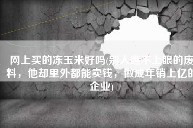 网上买的冻玉米好吗(别人瞧不上眼的废料，他却里外都能卖钱，做成年销上亿的企业)