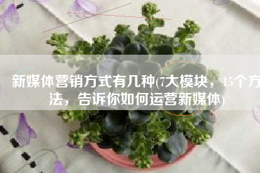 新媒体营销方式有几种(7大模块，15个方法，告诉你如何运营新媒体)