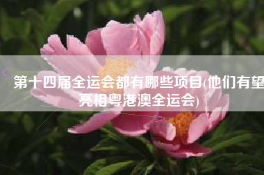 第十四届全运会都有哪些项目(他们有望亮相粤港澳全运会)