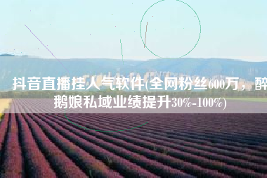 抖音直播挂人气软件(全网粉丝600万，醉鹅娘私域业绩提升30%-100%)