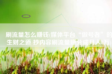 刷流量怎么赚钱(媒体平台“做号者”的生财之道 抄内容刷流量赚分成月入3万)
