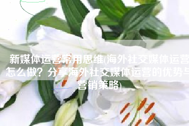 新媒体运营常用思维(海外社交媒体运营怎么做？分享海外社交媒体运营的优势与营销策略)