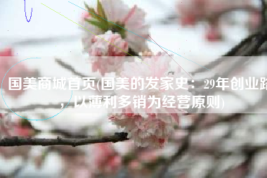 国美商城首页(国美的发家史：29年创业路，以薄利多销为经营原则)