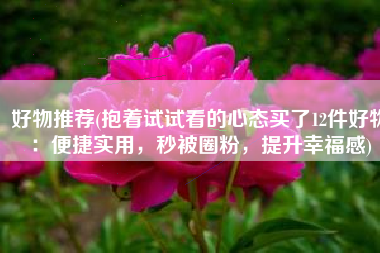 好物推荐(抱着试试看的心态买了12件好物：便捷实用，秒被圈粉，提升幸福感)