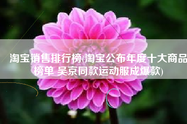 淘宝销售排行榜(淘宝公布年度十大商品榜单 吴京同款运动服成爆款)