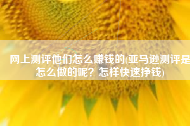 网上测评他们怎么赚钱的(亚马逊测评是怎么做的呢？怎样快速挣钱)