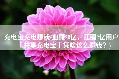 充电宝充电赚钱(血赚28亿，狂圈2亿用户，「共享充电宝」凭啥这么赚钱？)