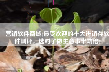 营销软件商城(最受欢迎的十大进销存软件测评，选对了做生意事半功倍)