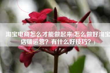 淘宝电商怎么才能做起来(怎么做好淘宝店铺运营？有什么好技巧？)
