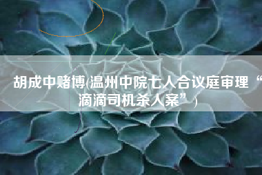 胡成中赌博(温州中院七人合议庭审理“滴滴司机杀人案”)