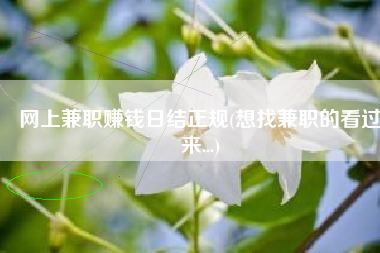 网上兼职赚钱日结正规(想找兼职的看过来...)