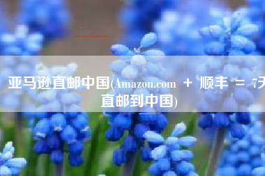 亚马逊直邮中国(Amazon.com ＋ 顺丰 ＝ 7天直邮到中国)
