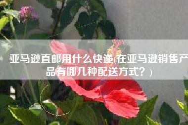 亚马逊直邮用什么快递(在亚马逊销售产品有哪几种配送方式？)