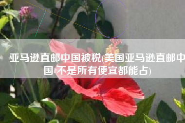 亚马逊直邮中国被税(美国亚马逊直邮中国 不是所有便宜都能占)