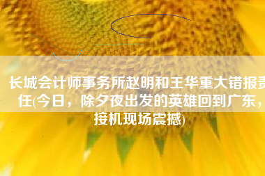 长城会计师事务所赵明和王华重大错报责任(今日，除夕夜出发的英雄回到广东，接机现场震撼)