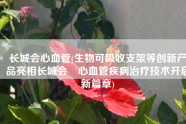 长城会心血管(生物可吸收支架等创新产品亮相长城会 心血管疾病治疗技术开启新篇章)