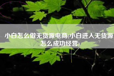 小白怎么做无货源电商(小白进入无货源，怎么成功经营)