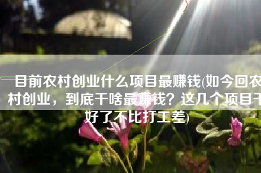 目前农村创业什么项目最赚钱(如今回农村创业，到底干啥最赚钱？这几个项目干好了不比打工差)