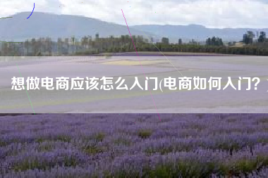 想做电商应该怎么入门(电商如何入门？)