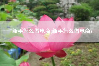 新手怎么做电商(新手怎么做电商)