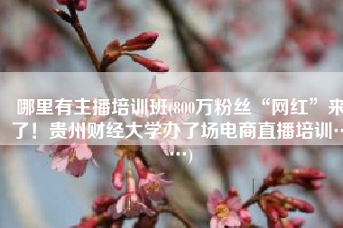 哪里有主播培训班(800万粉丝“网红”来了！贵州财经大学办了场电商直播培训……)