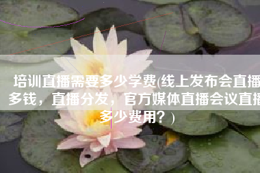培训直播需要多少学费(线上发布会直播多钱，直播分发，官方媒体直播会议直播多少费用？)