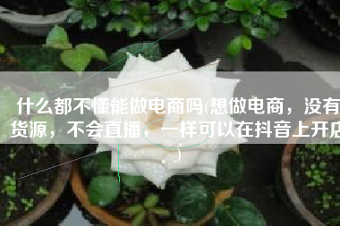 什么都不懂能做电商吗(想做电商，没有货源，不会直播，一样可以在抖音上开店)