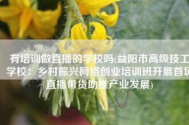 有培训做直播的学校吗(益阳市高级技工学校：乡村振兴网络创业培训班开展首场直播带货助推产业发展)